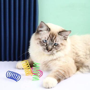 Twirly Whirly Spring Cat Toy Cat Toys KittyNook Cat Company 4 pcs in random colors